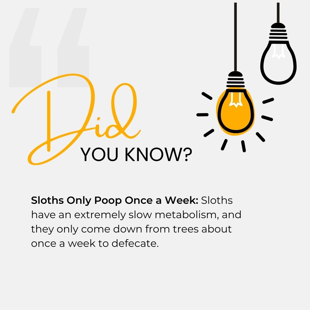 Fun Facts Image 1