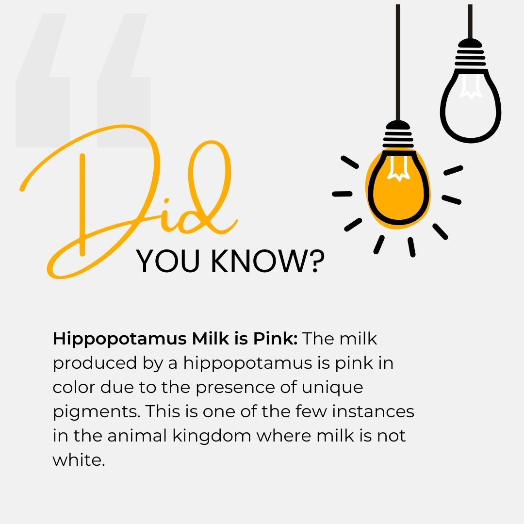 Fun Facts Image 2