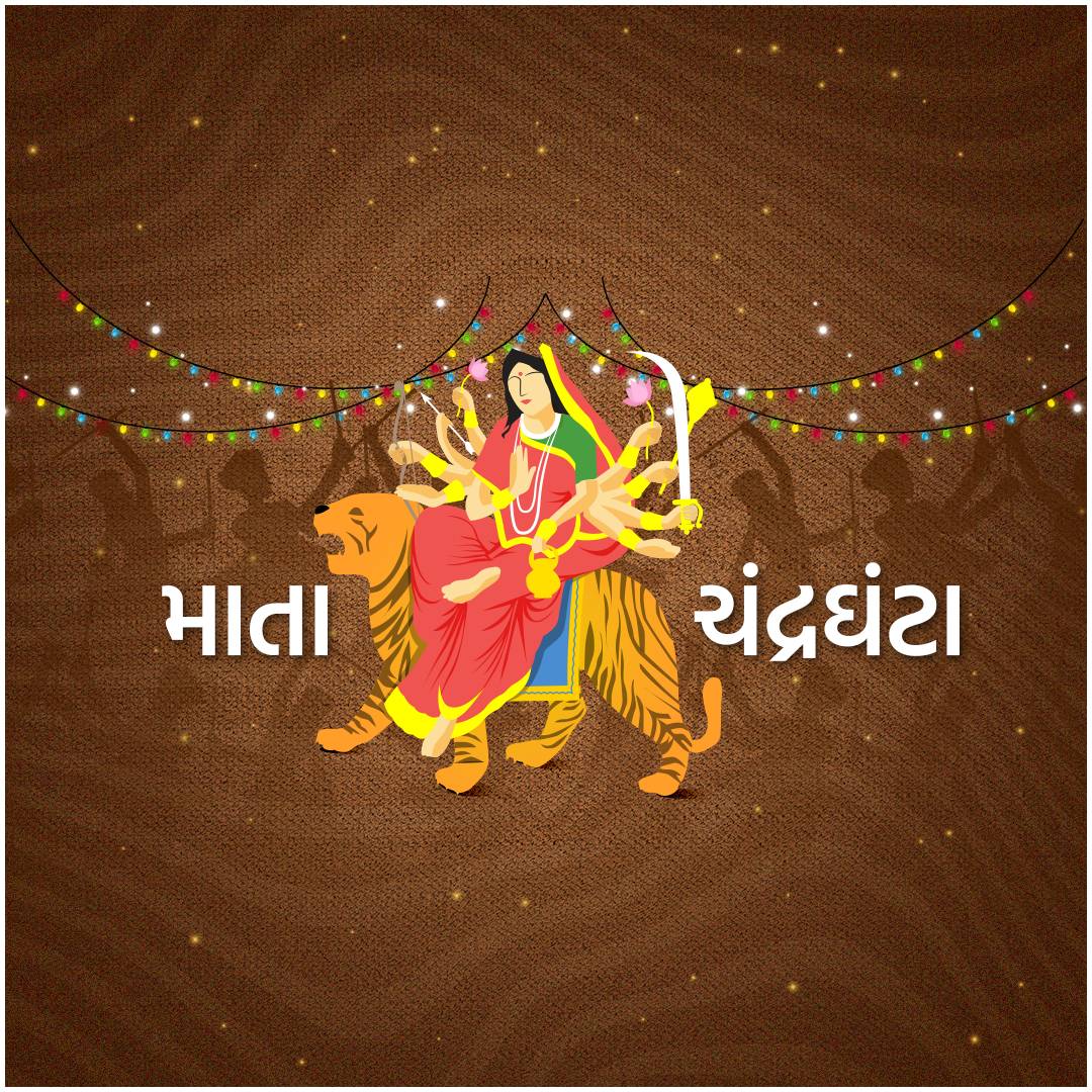 Festival Package Gujarati Image 2